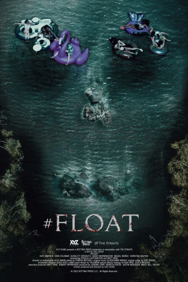 float Afis