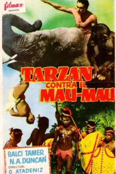 Tarzan İstanbul'da